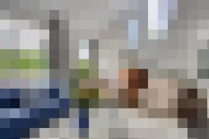 Wiel 20 Brielle thumbnail 10