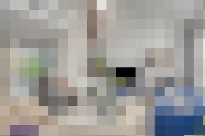 Wiel 20 Brielle thumbnail 12