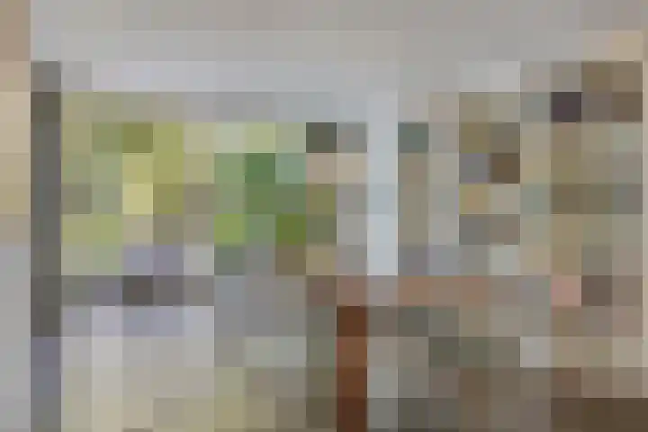 Wiel 20 Brielle thumbnail 13