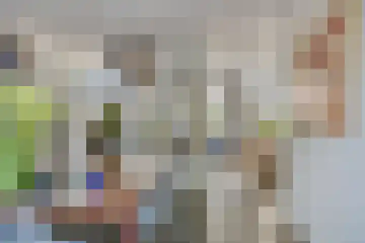 Wiel 20 Brielle thumbnail 15