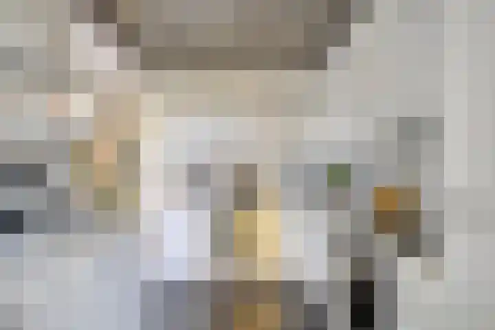 Wiel 20 Brielle thumbnail 18