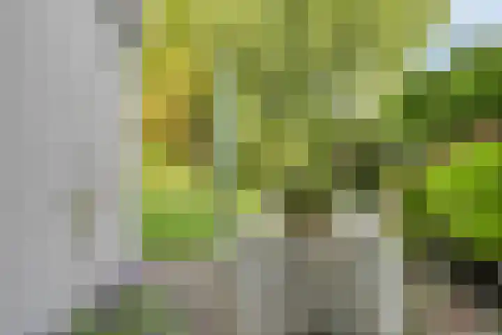 Wiel 20 Brielle thumbnail 31