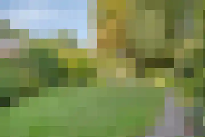Wiel 20 Brielle thumbnail 32