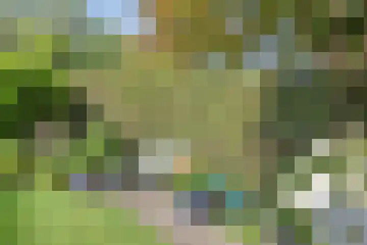 Wiel 20 Brielle thumbnail 33