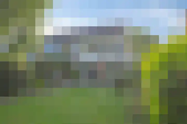 Wiel 20 Brielle thumbnail 34