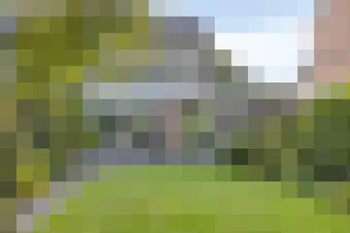 Wiel 20 Brielle thumbnail 35