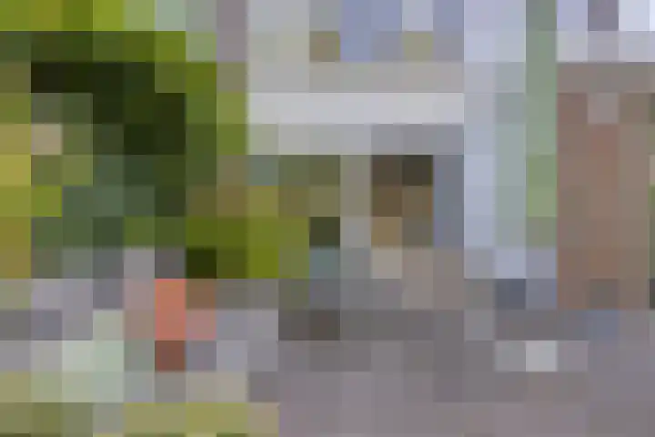 Wiel 20 Brielle thumbnail 36