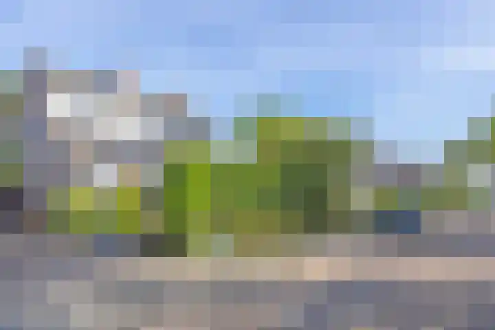 Wiel 20 Brielle thumbnail 4