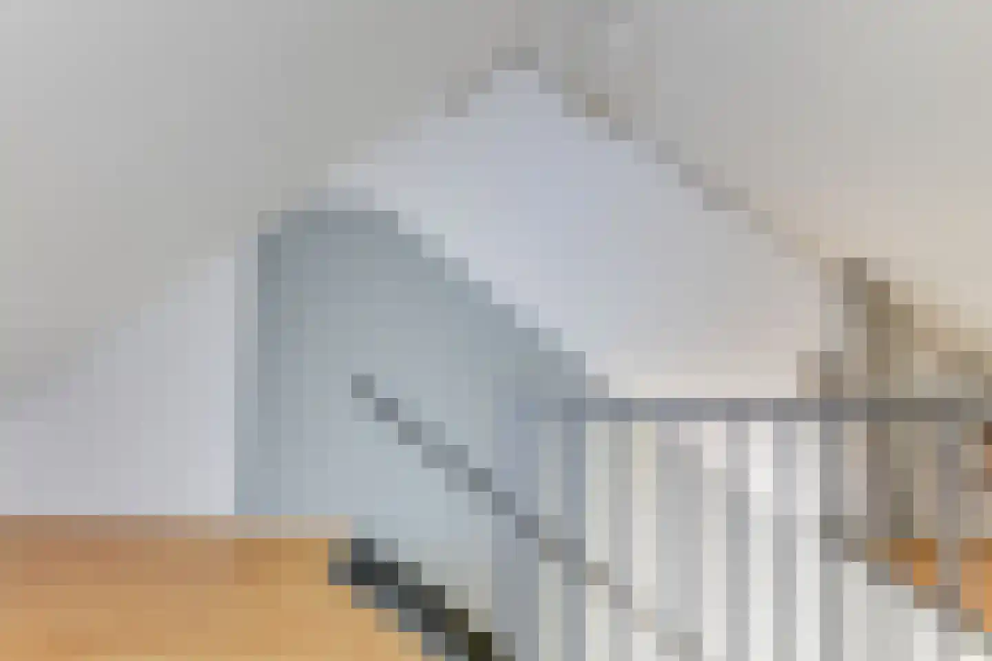 Wiel 9 Bergen (NH) thumbnail 32