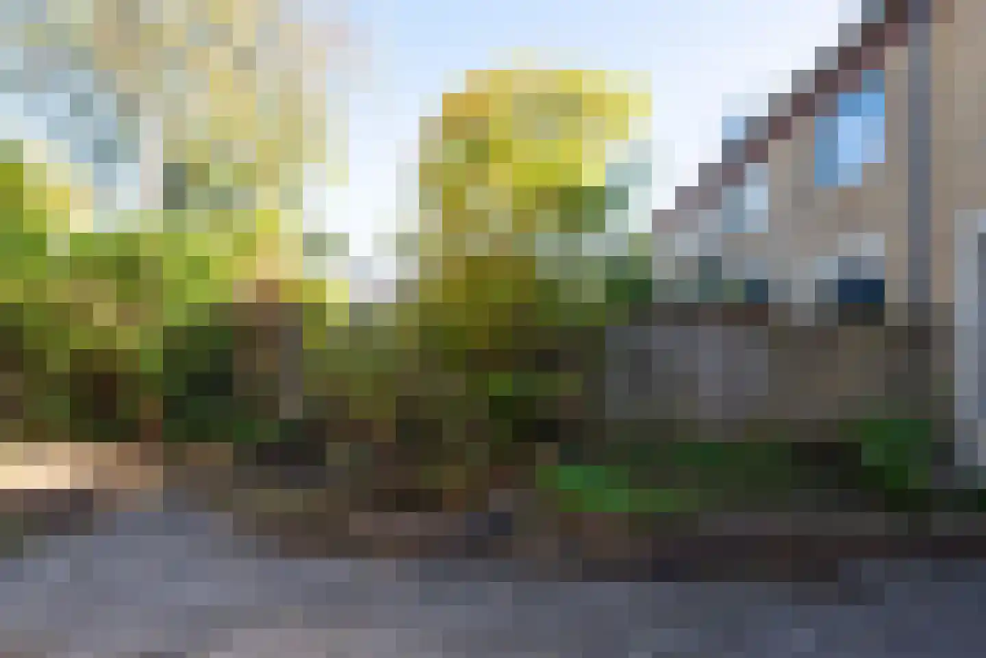 Wiel 9 Bergen (NH) thumbnail 42