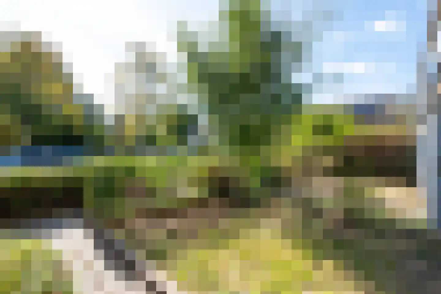 Wiel 9 Bergen (NH) thumbnail 7