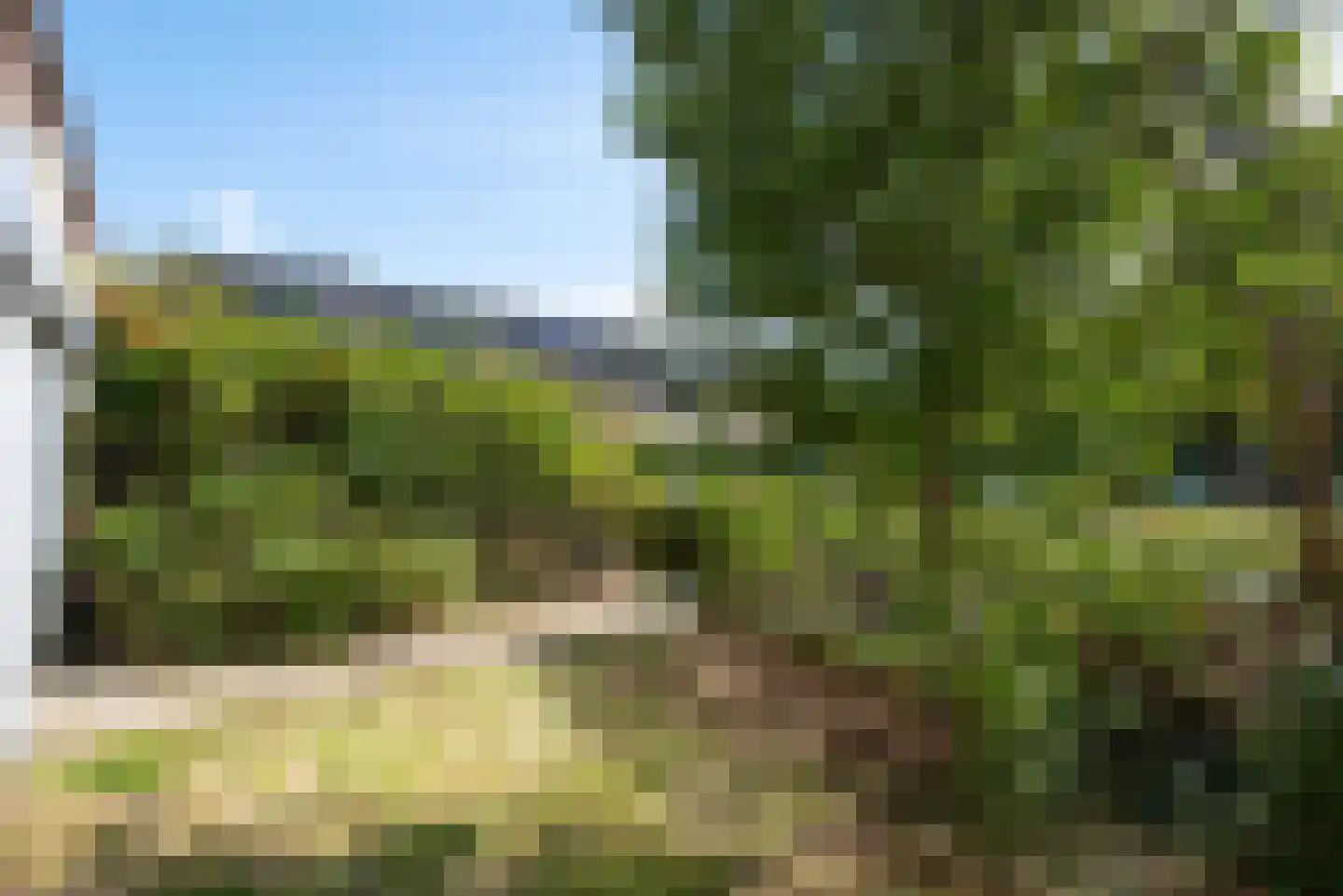 Wiel 9 Bergen (NH) thumbnail 7