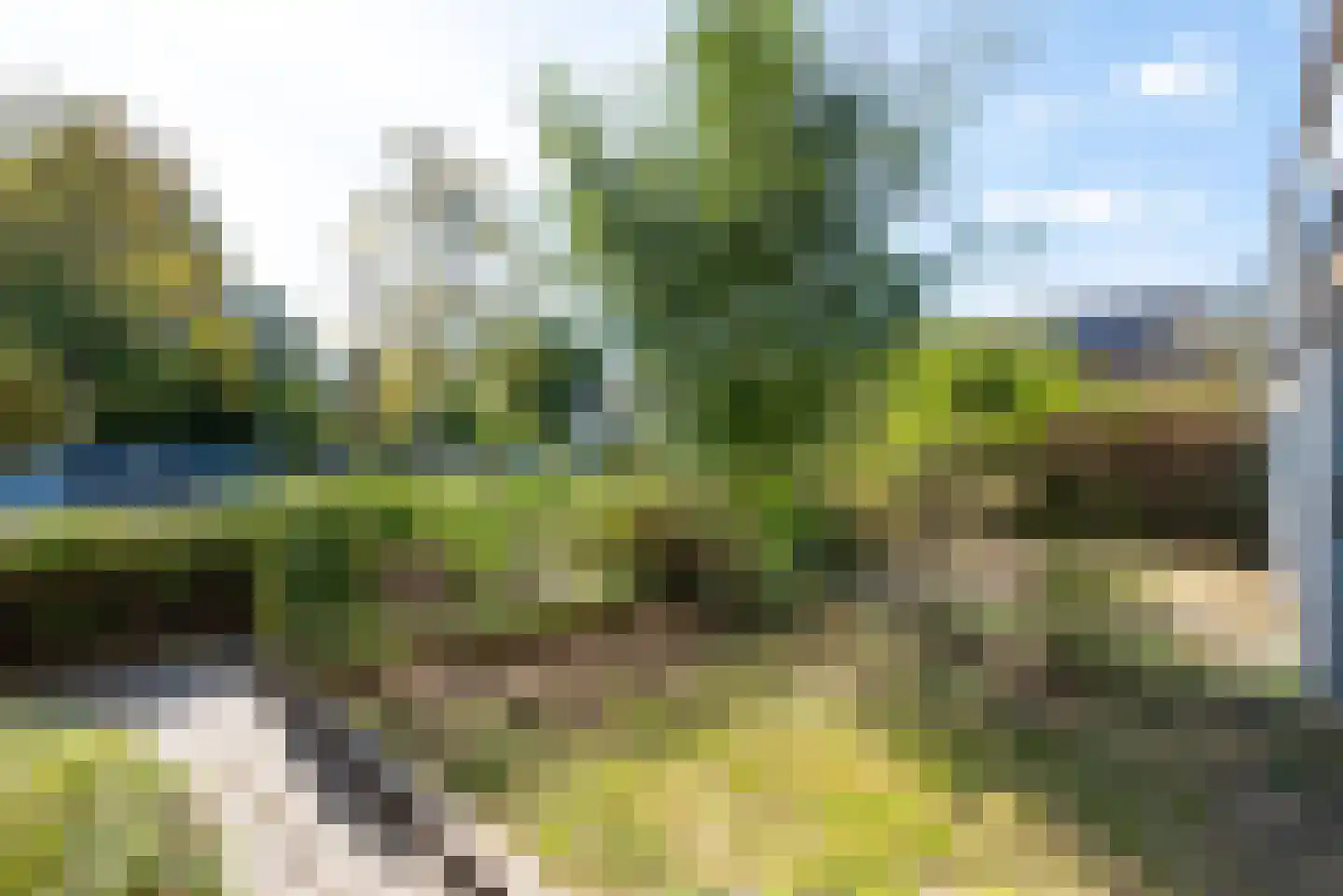 Wiel 9 Bergen (NH) thumbnail 8