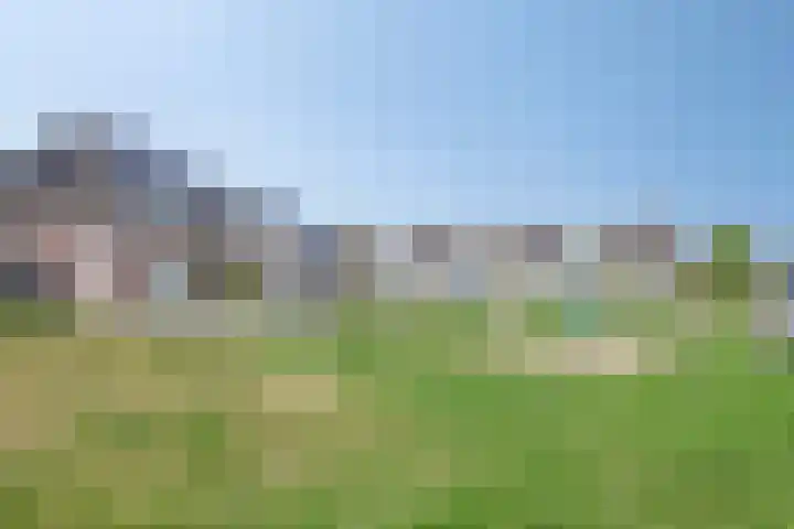 Wiel Gubbelsstraat 16 Nederweert thumbnail 31