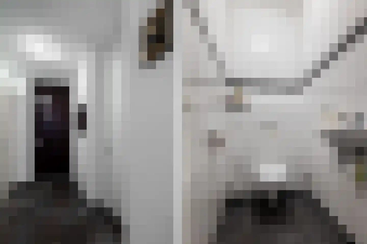 Wiel Ringenslaan 11 Landgraaf thumbnail 6