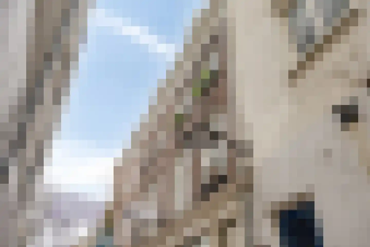 Wielakkerstraat 2 A Arnhem thumbnail 5