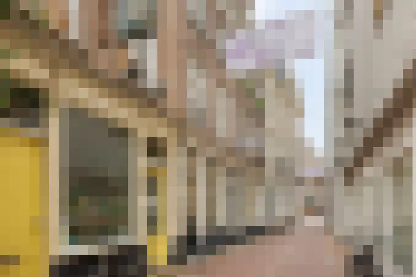 Wielakkerstraat 2 B in Arnhem