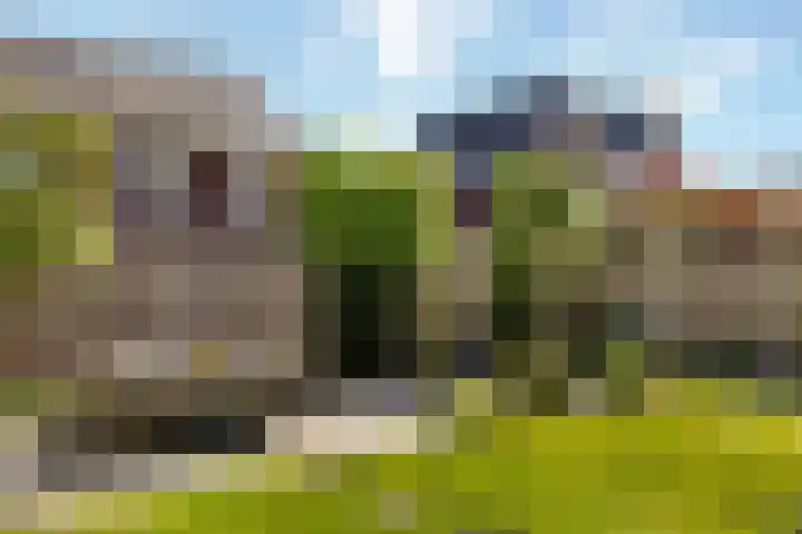 Wielder 7 Lottum thumbnail 28