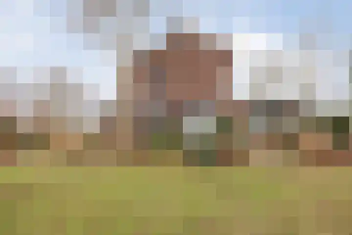 Wielder 7 Lottum foto 3