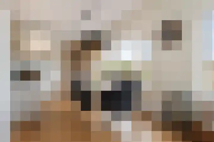 Wielder 7 Lottum thumbnail 30