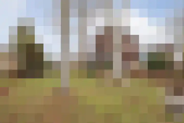 Wielder 7 Lottum thumbnail 33