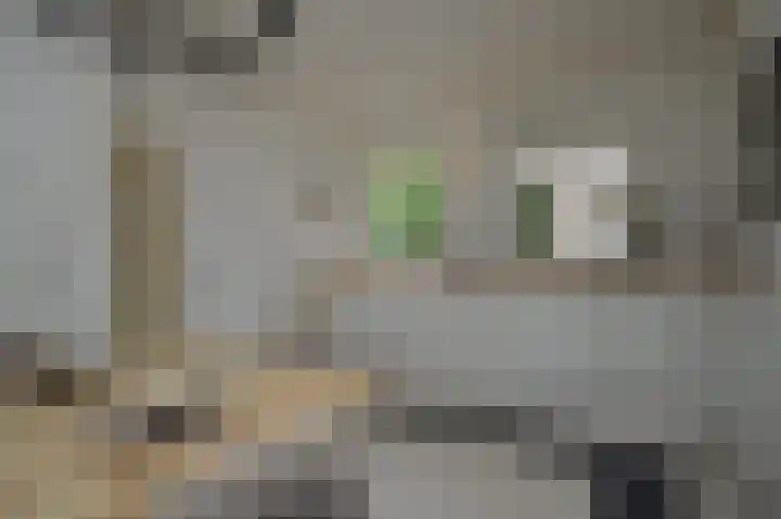 Wielder 7 Lottum thumbnail 35