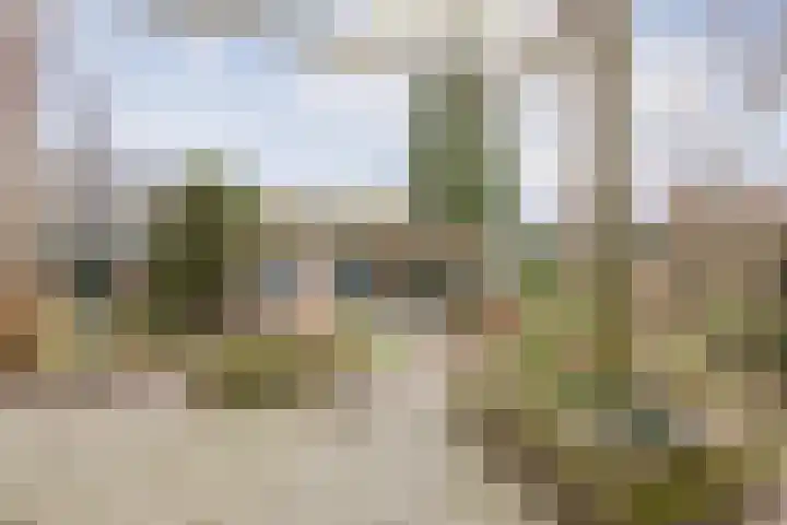 Wielder 7 Lottum thumbnail 4