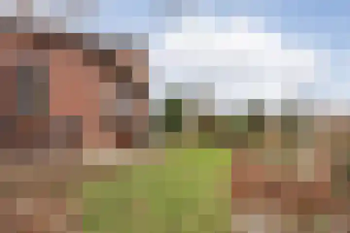 Wielder 7 Lottum thumbnail 40