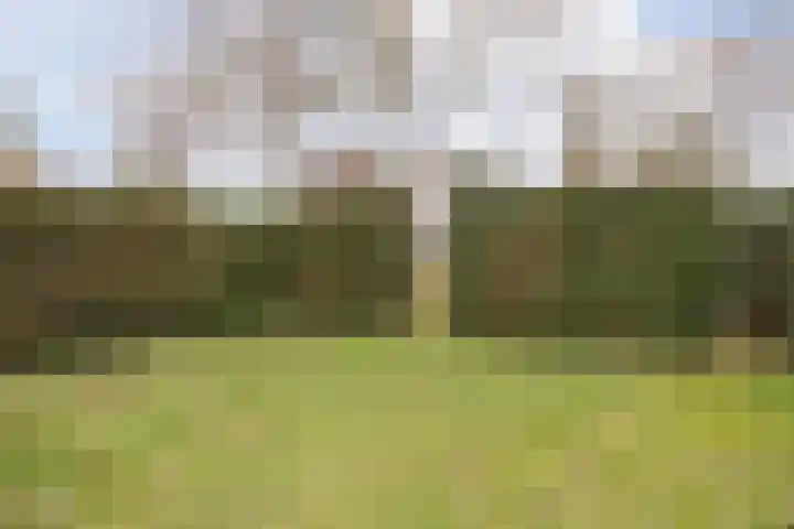 Wielder 7 Lottum thumbnail 43