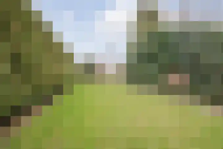 Wielder 7 Lottum thumbnail 45