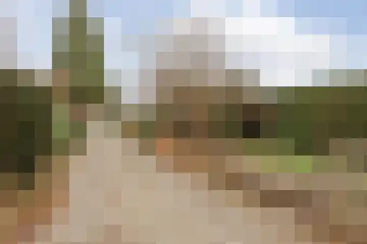 Wielder 7 Lottum thumbnail 47
