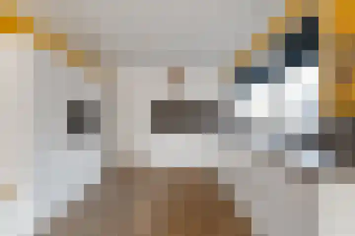 Wielder 7 Lottum thumbnail 49
