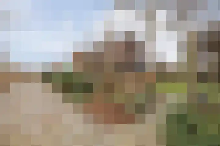 Wielder 7 Lottum thumbnail 51