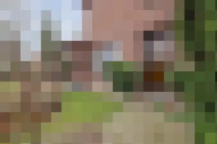 Wielder 7 Lottum thumbnail 8