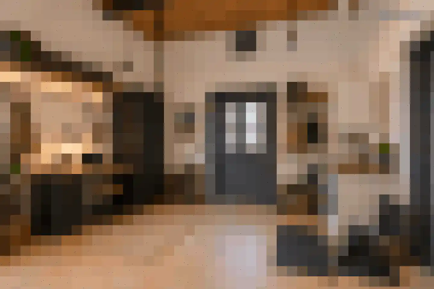 Wielderdorpstraat 9 Wijlre thumbnail 12