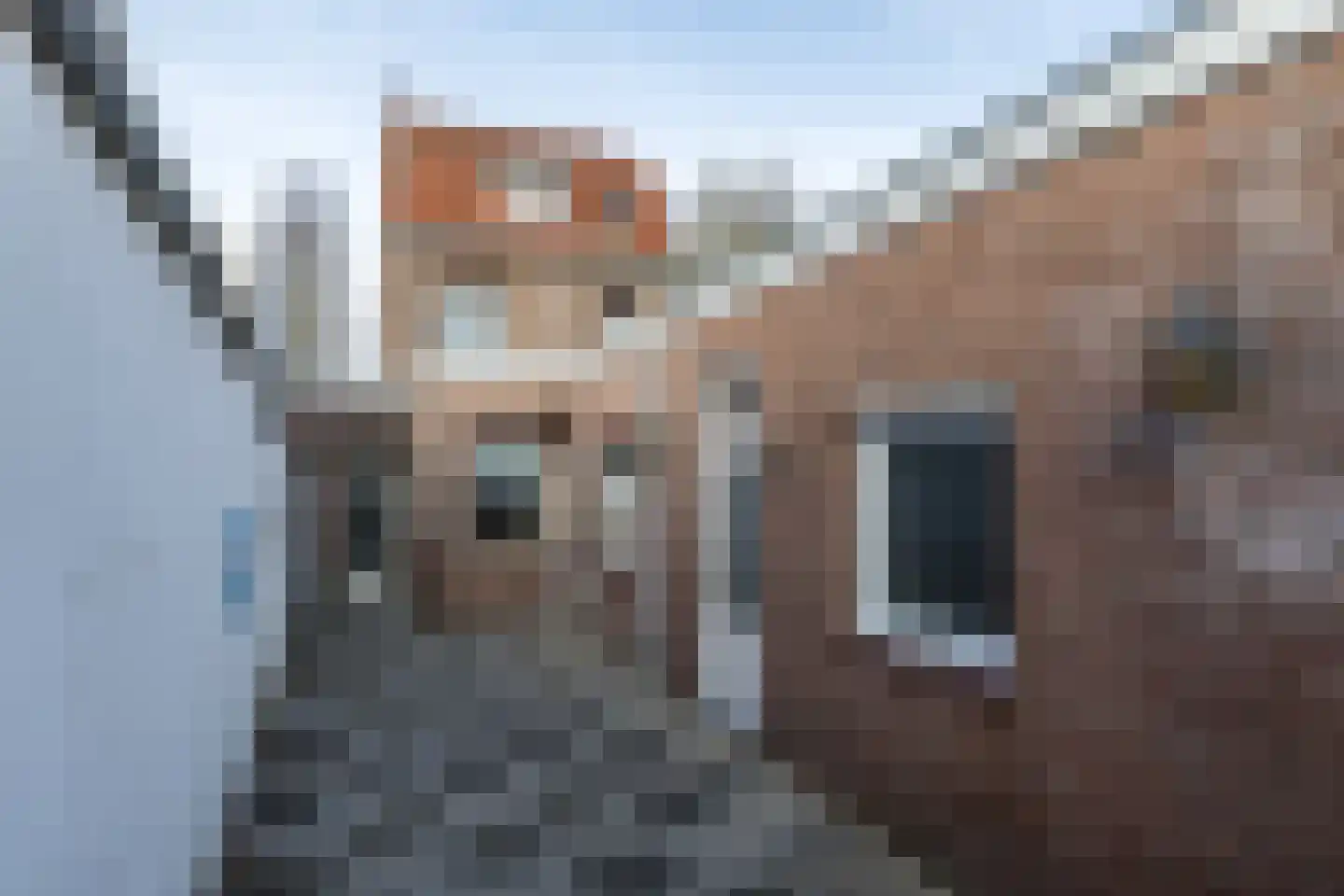 Wielderdorpstraat 9 Wijlre thumbnail 27