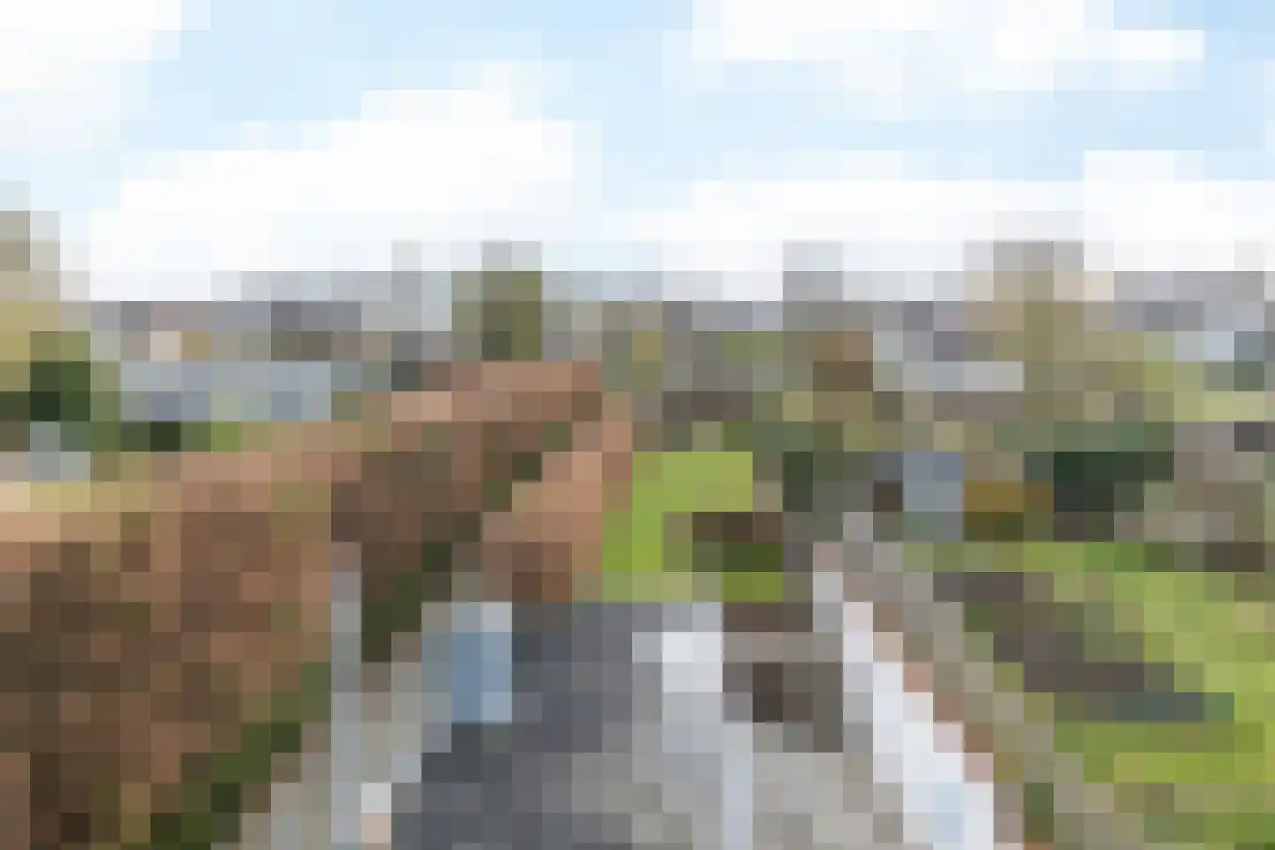 Wielderdorpstraat 9 Wijlre thumbnail 29