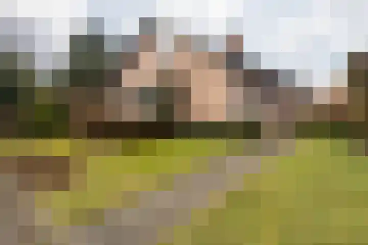 Wielderslaan 11 Sittard thumbnail 13