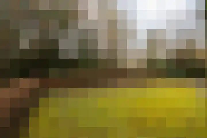 Wielderslaan 11 Sittard thumbnail 49