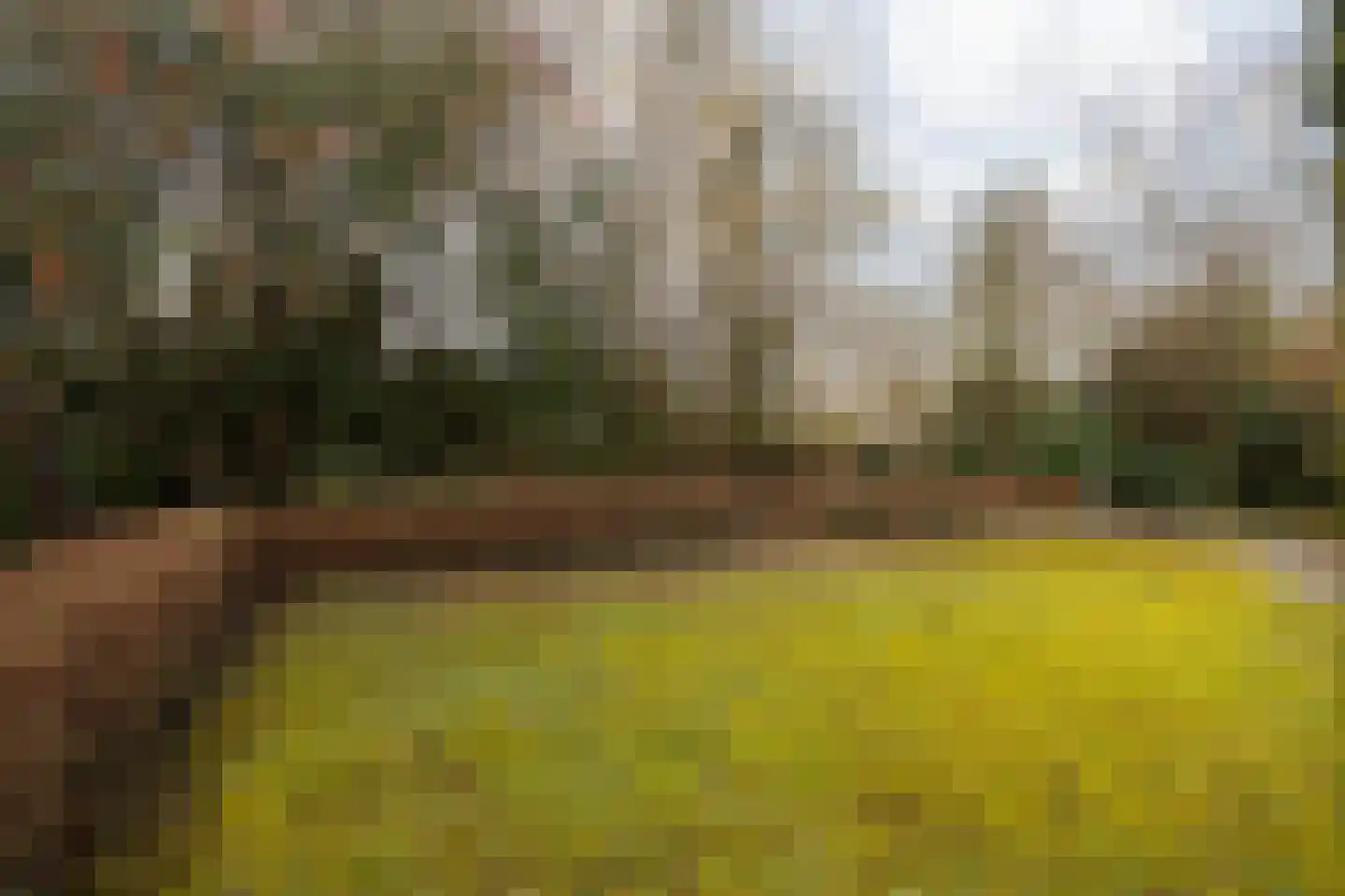 Wielderslaan 11 Sittard thumbnail 49