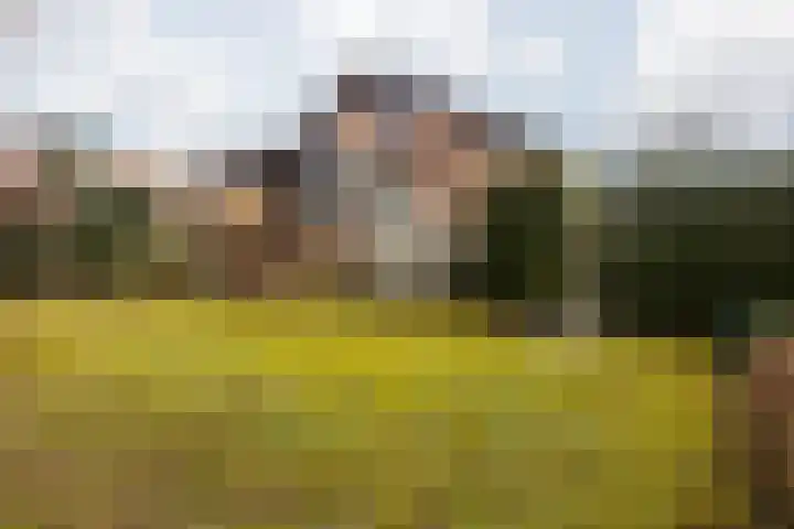 Wielderslaan 11 Sittard thumbnail 50