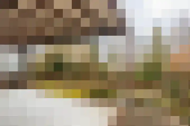 Wielderslaan 11 Sittard thumbnail 53