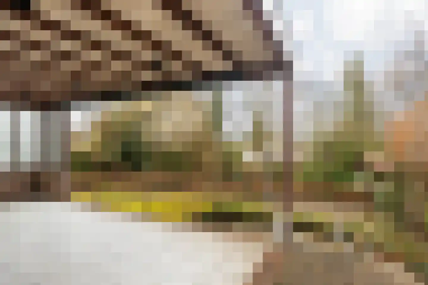 Wielderslaan 11 Sittard thumbnail 53