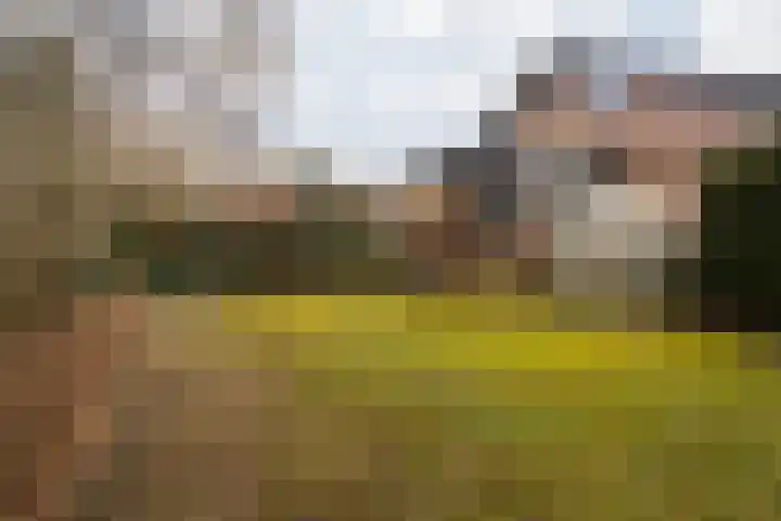 Wielderslaan 11 Sittard thumbnail 8