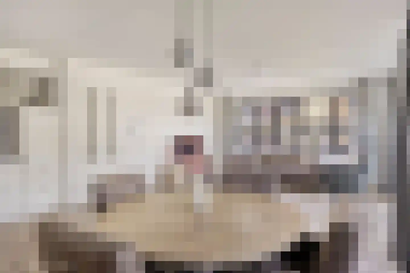 Wieldijksgaarden 28 Borne thumbnail 4