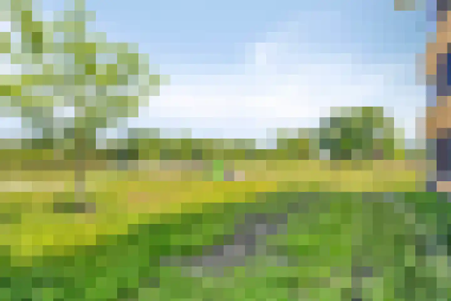 Wieldijksgaarden 28 Borne thumbnail 7