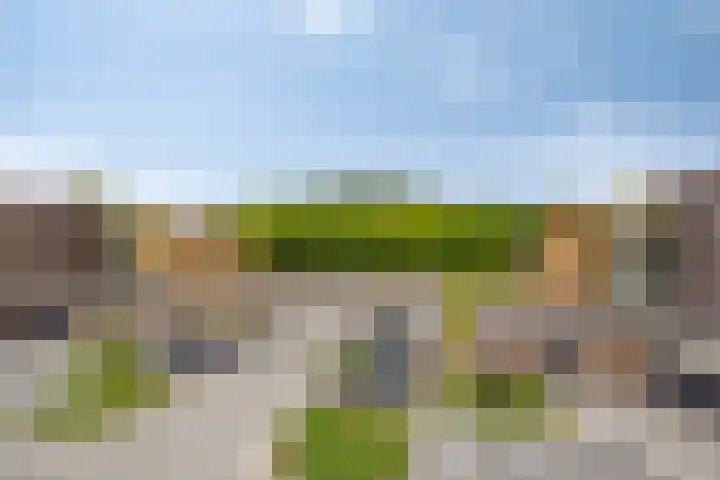 Wieldijksgaarden 38 Borne thumbnail 24