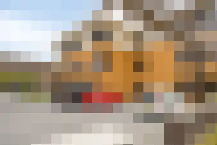 Wieldijksgaarden 38 Borne thumbnail 25