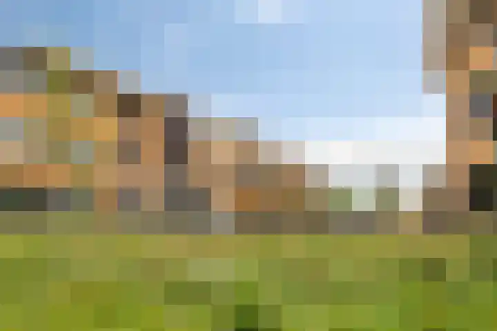 Wieldijksgaarden 38 Borne thumbnail 30