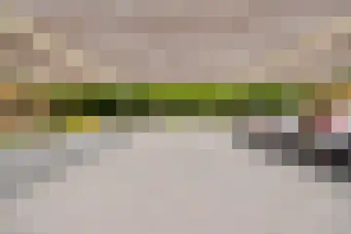 Wieldijksgaarden 38 Borne thumbnail 37